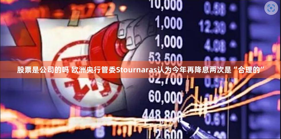 股票是公司的吗 欧洲央行管委Stournaras认为今年再降息两次是“合理的”