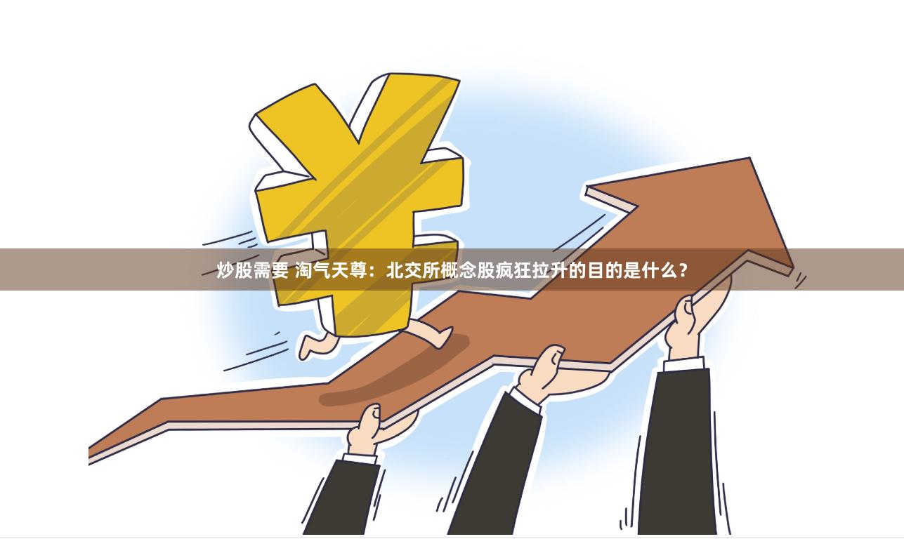 炒股需要 淘气天尊：北交所概念股疯狂拉升的目的是什么？