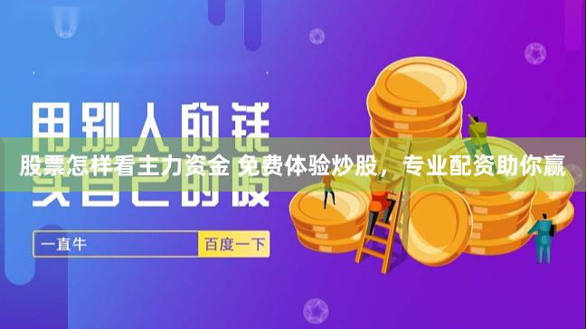股票怎样看主力资金 免费体验炒股，专业配资助你赢