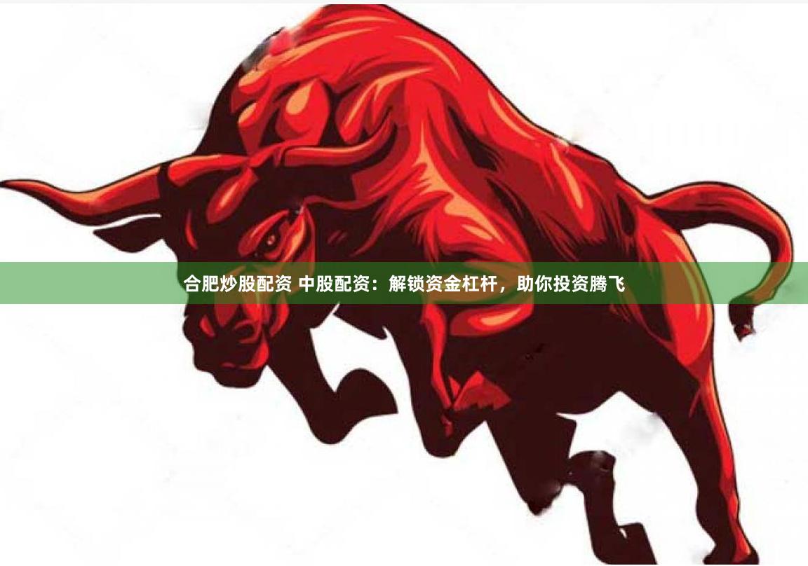 合肥炒股配资 中股配资：解锁资金杠杆，助你投资腾飞